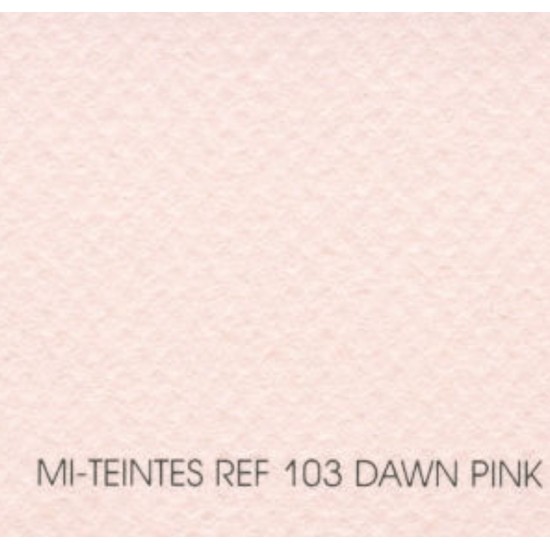 CANSON MITEINTES PINK COLOR FOR PRINTER 170GM 20 SHEETS